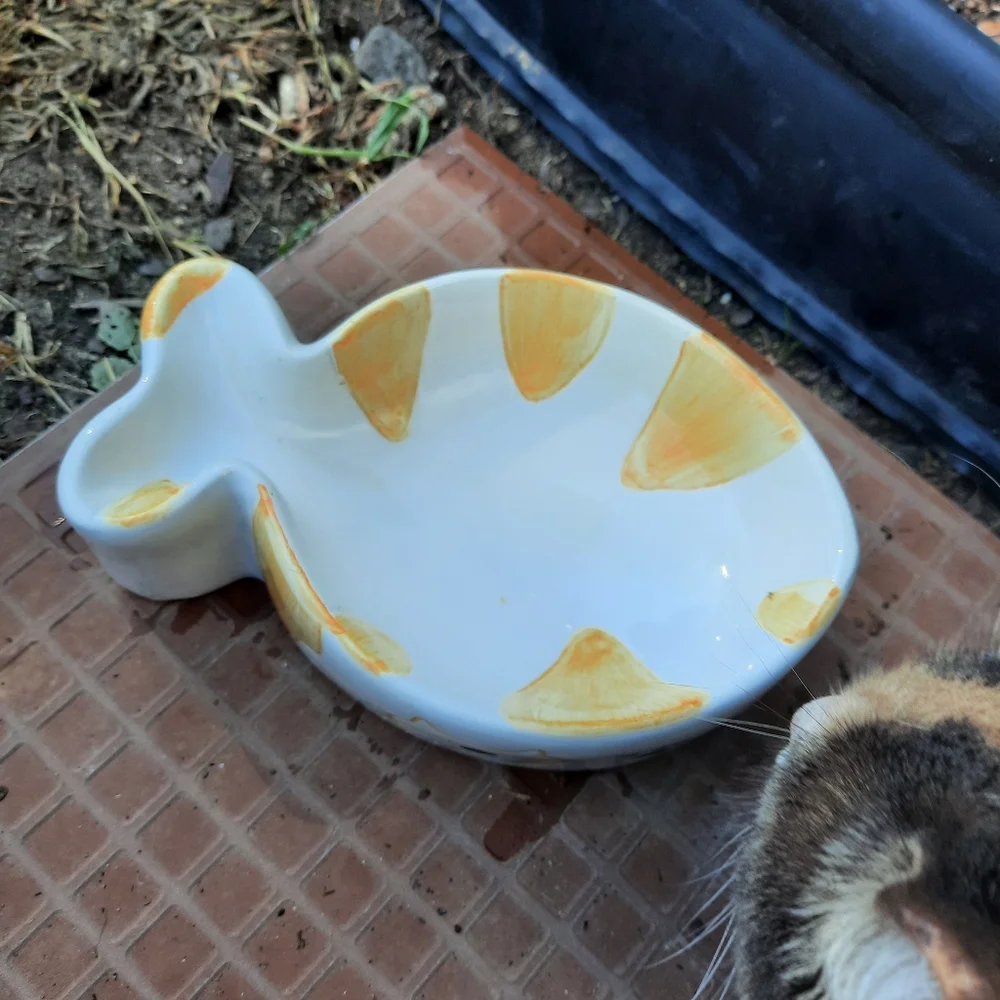 Ceramic pet dish